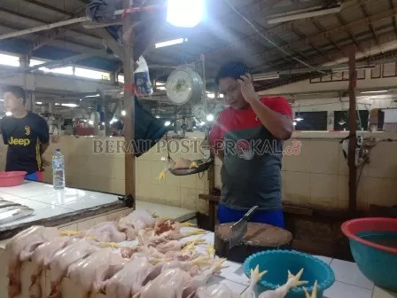 HARGA AYAM: Seorang pedagang ayam potong, Resa di Pasar Sanggam Adji Dilayas saat menyiapkan dagangannya.