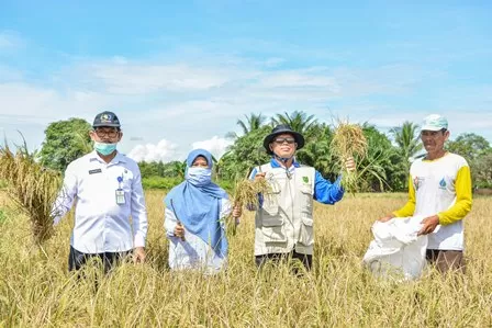 PANEN PADI: Kelompok tani Merancang Ilir bersama jajaran Dinas Pertanian dan Peternakan berfoto di tengah sawah, saat memanen padi, Rabu (24/6).