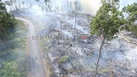 JANGAN SAMPAI TERULANG: Karhutla yang terjadi di Kabupaten Berau tahun 2019 lalu.
