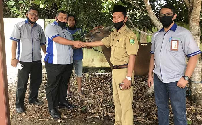 BERKURBAN: Dirut PT IPB Najemuddin didampingi jajarannya saat menyerahkan sapi kurban yang diterima langsung Kepala Kampung Sambakungan, kemarin (28/7).