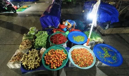 MURAH-MERIAH: Banyaknya produksi tomat dari petani, membuat harga tomat di pasar lebih murah.