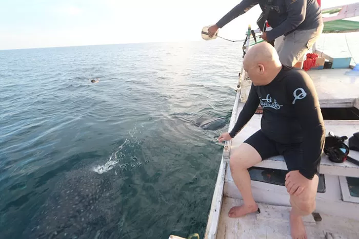 POTENSI WISATA: Wakil Bupati Berau Agus Tantomo, saat mengunjungi wisata Whale Shark di laut Talisayan. Wabup ingin ada bagan khusus pariwisata Whale Shark di pesisir.