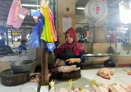LESU: Penjualan ayam broiler di Pasar Sanggam Adji Dilayas semakin lesu. Hal itu diduga akibat terus bertambahnya kasus corona di Bumi Batiwakkal.