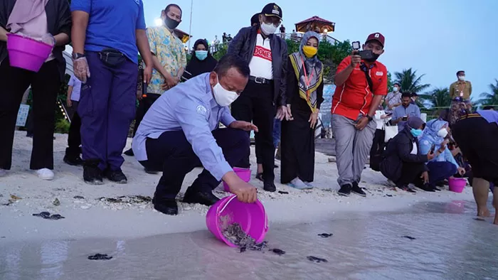 LEPAS TUKIK: Menteri Kelautan dan Perikanan Edhy Prabowo melepas tukik di pantai Pulau Maratua.