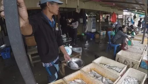 BARU PASAR IKAN: Di Kecamatan Talisayan saat ini baru memiliki pasar yang hanya menjual komoditi ikan.
