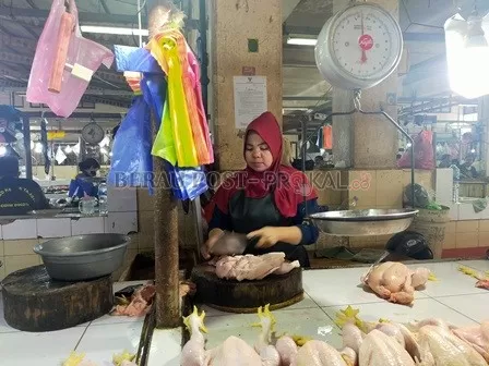 KIAN MEMBAIK: Permintaan ayam broiler di Pasar Sanggam Adji Dilayas perlahan meninggi.