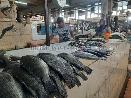 SULIT DAPAT IKAN: Andi Baso, pedagang ikan di Pasar Sanggam Adji Dilayas tengah melayani pembeli ikan di lapaknya.