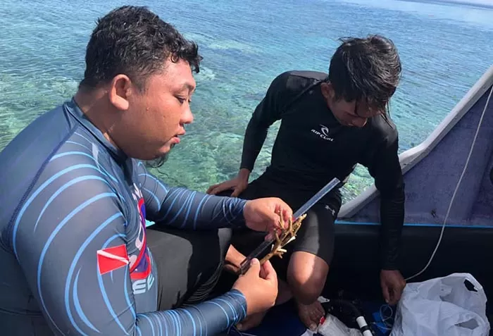 MENJAGA BAWAH LAUT: Kelompok Maratua Peduli Lingkungan saat ingin melakukan transplantasi terumbu karang di Pulau Maratua beberapa waktu lalu.
