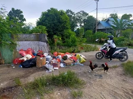 PERLU DIPERBAHARUI: TPS di RT 8 Kelurahan Gunung Tabur sudah rusak cukup parah. Selain itu, TPS yang kecil dinilai sudah tidak mampu menampung sampah masyarakat dari beberapa RT sekitar.