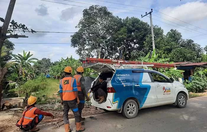 UPAYA PENCEGAHAN: Cegah rusaknya jaringan listrik, personel PLN Persero Berau pangkas sejumlah pohon.