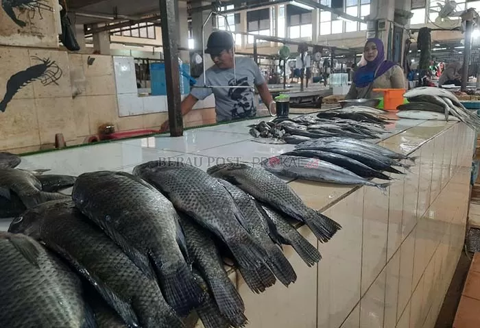 HASIL BUDIDAYA: Aktivitas pedagang ikan di Pasar Sanggam Adji Dilayas.