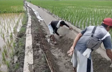 TINGKATKAN PRODUKTIVITAS PADI: Pembangunan jaringan irigasi tersier secara bergotong-royong oleh para petani di Kampung Buyung-Buyung, Kecamatan Tabalar.