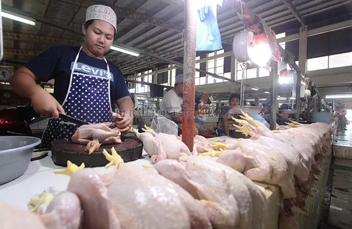 LAMPAUI TARGET: Total pemotongan ayam UPT RPH tahun lalu berhasil melampaui target yang ditetapkan. Mayoritas ayam yang sudah dipotong di sana dijajakan di Pasar Sanggam Adji Dilayas.