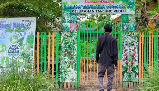BUTUH LAHAN: Kampung Ekologi yang terletak di RT 7 Kelurahan Tanjung Redeb membutuhkan lahan untuk bercocok tanam. Karena lahan yang digunakan saat ini akan dipakai oleh pemiliknya.
