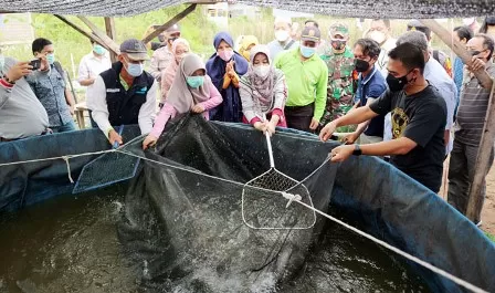 PANEN IKAN: Bupati Berau Sri Juniarsih melakukan panen perdana budidaya ikan lele milik Dasawisma Sedap Malam, RT 17 Kelurahan Gunung Panjang, Jumat (9/4).