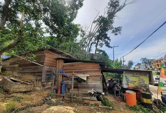 RAWAN: Warga Jalan Pulau Sambit meminta pohon besar yang ada di sekitar tempat tinggalnya ditebang karena khawatir tumbang saat angin kecang.