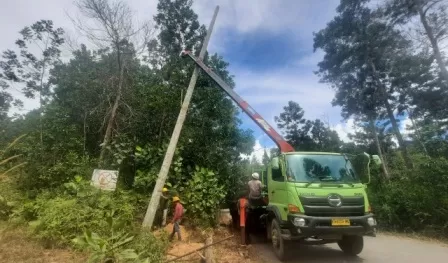 PEMASANGAN TIANG: Petugas PLN Persero Berau saat melakukan pemasangan jaringan untuk menyambungkan listrik ke Kampung Buyung-Buyung dan Semurut.