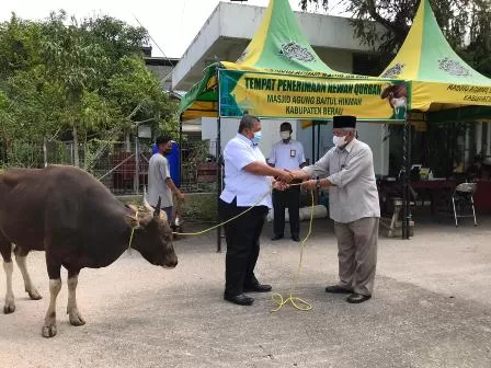 SUMBANG HEWAN KURBAN: Dirut PT IPB Najemuddin menyerahkan sapi untuk dikurbankan di Masjid Agung Baitul Hikmah, kemarin (20/7).