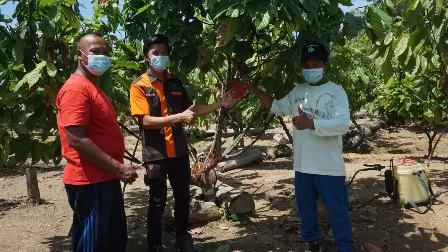 BERKUALITAS: Burhaniansyah, petani kakao asal Kampung Tasuk, Kecamatan Gunung Tabur, menunjukkan buah kakao berkualitas tinggi hasil kebunnya.