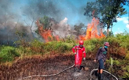 BERJIBAKU: Petugas Damkar BPBD Berau saat berupaya memadamkan karhutla yang terjadi di Kampung Labanan Makmur, Kecamatan Teluk Bayur, kemarin (29/7).