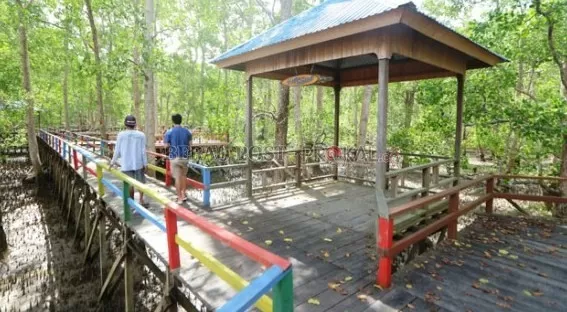 DITUTUP: Objek wisata mangrove yang ada di Teluk Semanting yang masih ditutup untuk wisatawan, karena menunggu instruksi dari Disbudpar Berau.