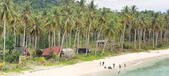 POTENSI BESAR: Kecamatan Bidukbiduk mampu menghasilkan 20 ribu biji kelapa muda setiap tahunnya.