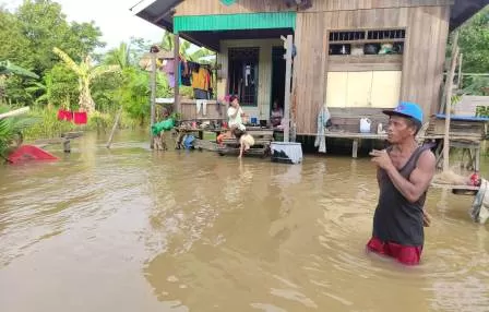 BELUM SURUT: Banjir masih merendam beberapa kampung di Kecamatan Segah hingga kemarin.