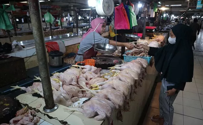 BELUM TURUN: Semenjak hari raya Idulfitri harga ayam potong di Pasar Sanggam Adji Dilayas masih tinggi.