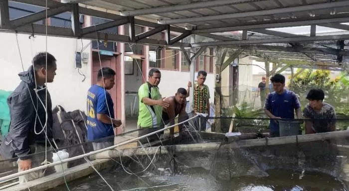 DILATIH: Dinas Perikanan Berau melalui UPTD Balai Benih Ikan (BBI) Sei Bedungun saat memberikan pelatihan kepada peserta tentang budidaya ikan yang baik dan tepat. Melalui inovasi Aquaculture Education Center.
