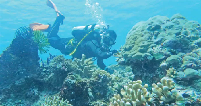 JANGAN DIRUSAK: Keindahan alam bawah laut Maratua menjadi salah satu modal paling berharga bagi Pemkab Berau dalam upaya pengembangan sektor pariwisata.
