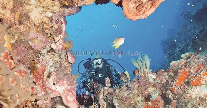 MEMANJAKAN MATA: Salah satu spot diving yang memperlihatkan terumbu karang yang indah. Yang tak diragukan lagi oleh wisatawan lokal maupun mancanegara.