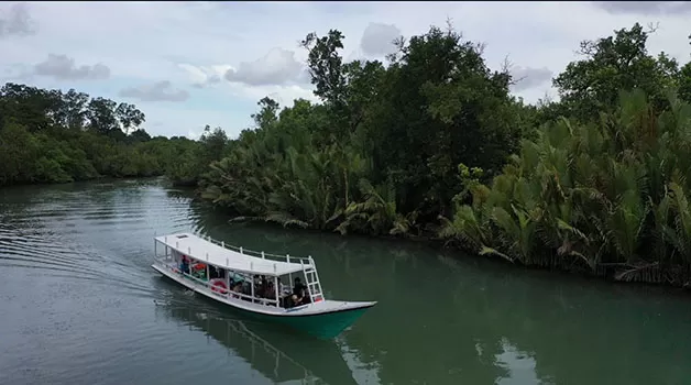 BANYAK POTENSI: Kabupaten Berau memiliki cukup banyak potensi wisata alam, salah satunya mangrove di Kampung Tembudan, yang kini menjadi icon baru kampung tersebut.