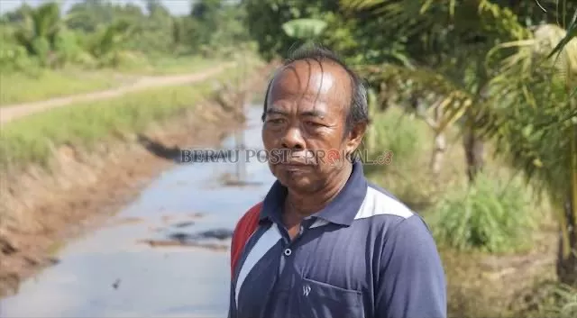 SUDAH TAK WAS-WAS: Salah seorang petani asal Kampung Gurimbang melihat sawahnya. Kini dia dan petani lainnya sudah lebih tenang untuk menanam padi, karena penyebab banjir sudah dapat diatasi berkat adanya bantuan dari PT Berau Coal.