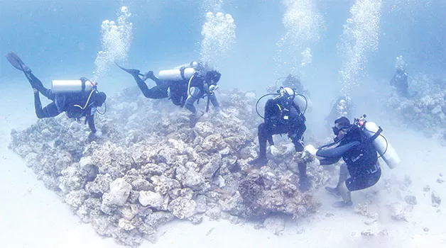 KONSERVASI LAUT: Proses rehabilitasi terumbu karang di Pulau Derawan dengan menggunakan metode rock pile.