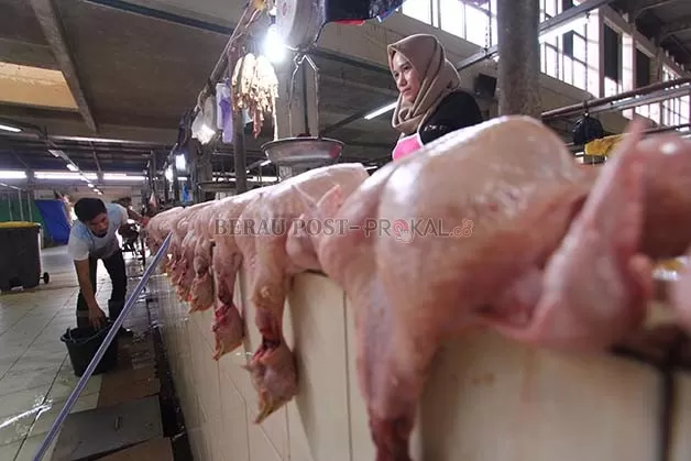 BELUM STABIL: Harga kebutuhan pokok di Pasar Sanggam Adji Dilayas belum sepenuhnya stabil. Salah satunya daging ayam.