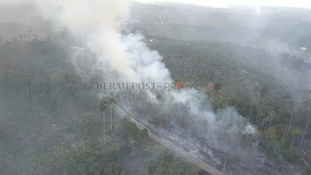 KARHUTLA: Salah satu lokasi yang pernah terjadi kebakaran hutan dan lahan.