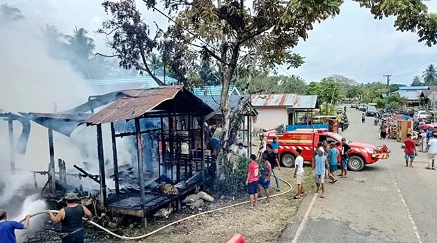 UPAYA PEMADAMAN: Aparat TNI, Polri, dan BPBD Berau, berupaya memadamkan kobaran api di salah satu rumah warga di Kampung Karangan, Kecamatan Biatan.