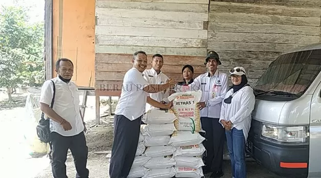 DISALURKAN: Dinas Pertanian dan Peternakan Berau menyalurkan benih jagung bantuan Kementerian Pertanian kepada petani jagung di Kabupaten Berau.