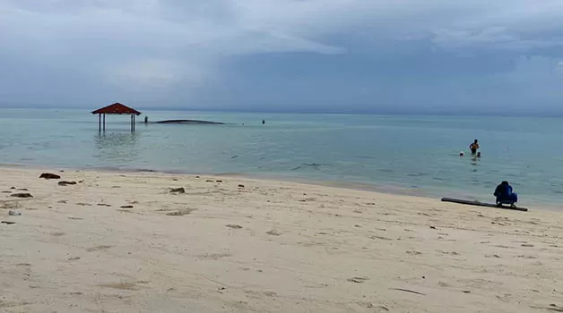 ABRASI: Salah satu titik di Pulau Derawan yang telah mengalami abrasi dalam beberapa tahun terakhir.