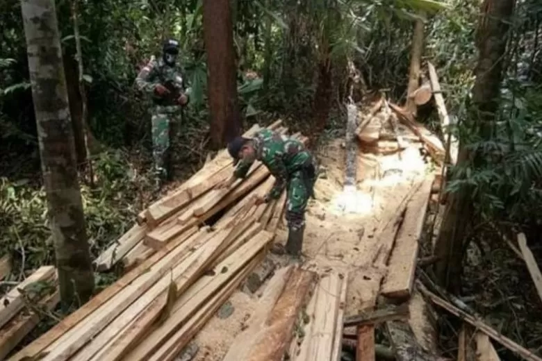 DIAMANKAN: Anggota Satgas Pamtas RI-Malaysia Yonif 642/Kapuas mengamankan puluhan kayu olahan diduga hasil ilegal loging di wilayah perbatasan RI-Malaysia.  ANTARA