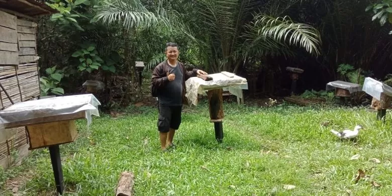 BETERNAK KELULUT: Kades Kebebu Ari Susanto saat menunjukkan sarang kelulut yang diternakkannya di sekitar rumahnya yang terletak di Desa Nanga Kebebu, Kecamatan Nanga Pinoh, Kabupaten Melawi. (ISTIMEWA/PONTIANAK POST)