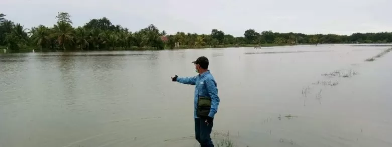 MEMANTAU: Petugas saat memantau lahan terendam banjir.