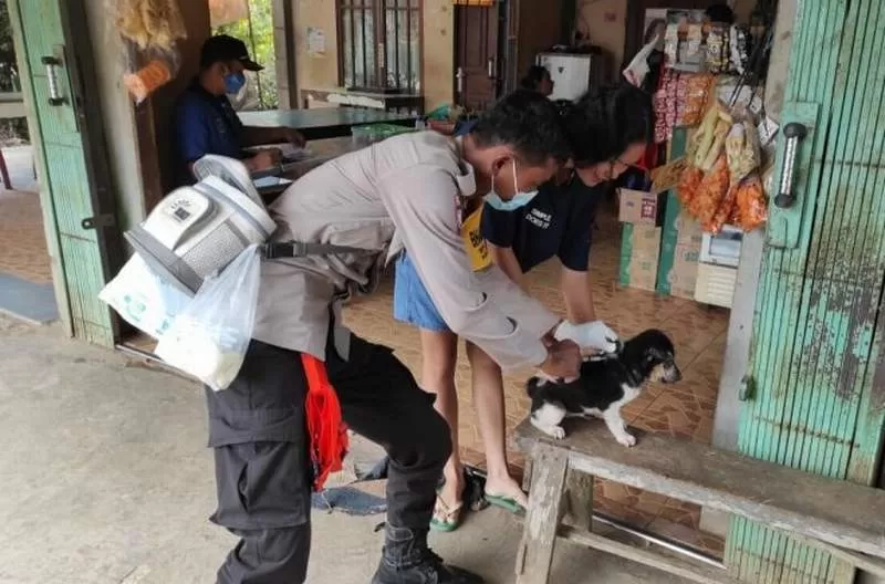 VAKSINASI: Petugas saat melakukan vaksinasi rabies kepada anjing peliharaan warga.Sugeng/Pontianak Post