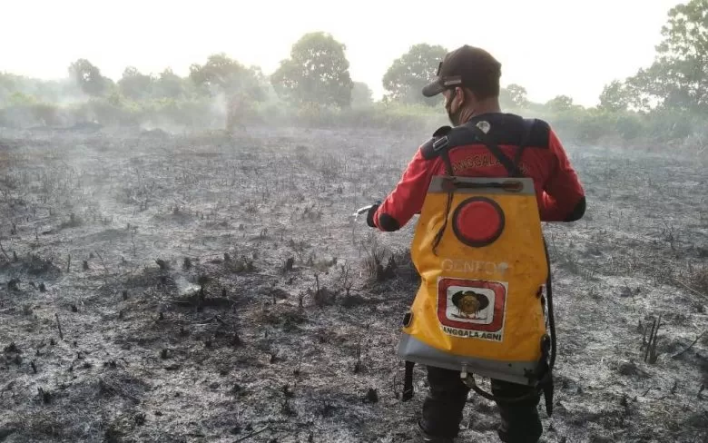 CEK LAHAN: petugas Manggala Agni melakukan pengecekan lahan terbakar.FOTO ISTIMEWA