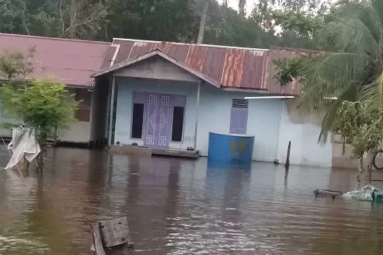 AIR PASANG : Kondisi kondisi air pasang di Sukadana, Kabupaten Kayong Utara hingga menggenangi halaman rumah warga di Sukadana. BPBD Kayong Utara For Pontianak Post