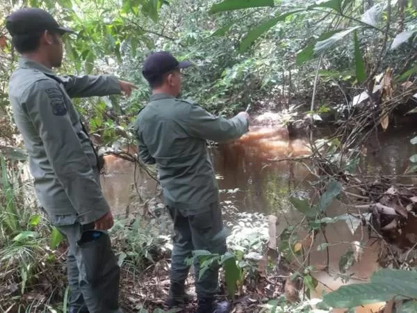 PATROLI: Polisi Kehutanan (Polhut) saat melakukan patroli antisipasi terjadinya illegal logging di kawasan Taman Nasional Gunung Palung (Tanagupa) berada di Kabupaten Kayong Utara dan Kabupaten Ketapang Provinsi Kalimantan Barat. (Foto Tanagupa Untuk Pontianak Post)