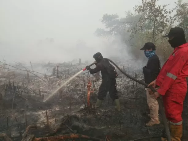 CEMARI UDARA: Sejumlah anggota Satuan Brimob berusaha memadamkan kebakaran lahan di Desa Rasau Jaya 1, Patok 23 Sekunder B, kemarin. Kebakaran hutan dan lahan di Kalbar menyebabkan kualitas udara menjadi tercemar dan tidak sehat. Masyarakat diimbau menggunakan masker saat beraktivitas di luar ruangan. (ARIEF NUGROHO/PONTIANAK POST/BRIMOB)