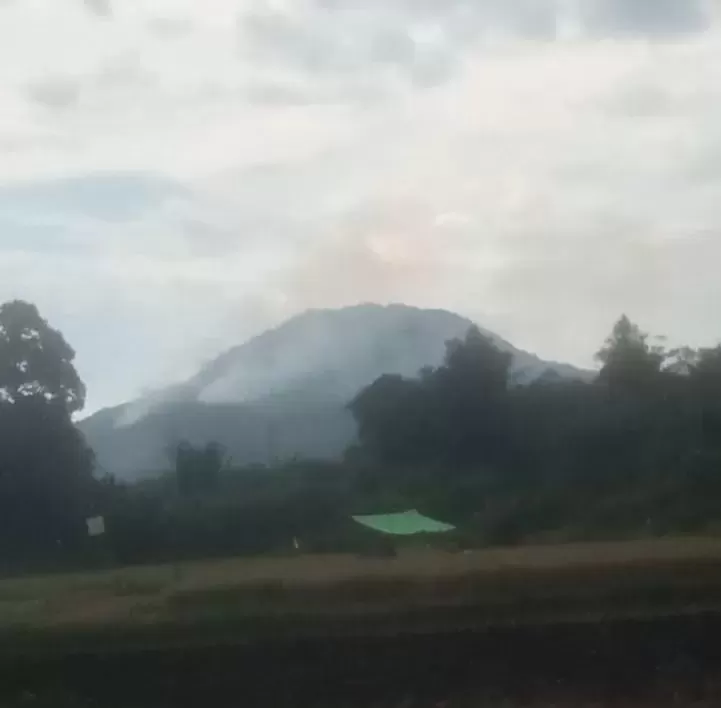 PADAM: Api yang membakar hutan rakyat kaki bukit Marabukatn Dusun Baban Desa Kampet Kecamatan Banyuke Hulu telah padam sempurna pada Kamis (14/9) pagi. (Dokumentasi Camat Banyuke Hulu)