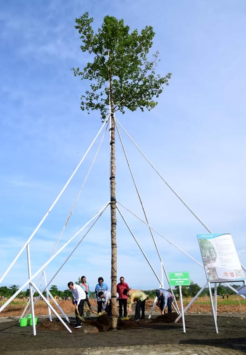 POHON LANGKA: Presiden Joko Widodo saat menanam pohon Mersawa setinggi 12 meter di Taman Hutan Pers di kawasan Perkantoran Pemprov Kalsel, dalam rangkaian peringatan Hari Pers Nasional (HPN) 2020 di Kalsel, Sabtu (8/2). | FOTO:  BIRO PERS SEKRETARIAT PRESIDEN