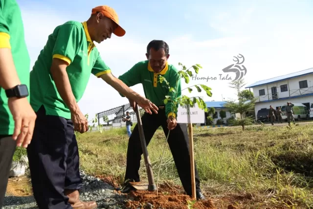 TANAM POHON: Bupati Tala Sukamta melakukan tanam pohon di halaman Rumah Sakit Hadji Boejasin Kelurahan Sarang Halang Kecamatan Pelaihari.